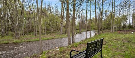 A bench by a river in a wooded area.