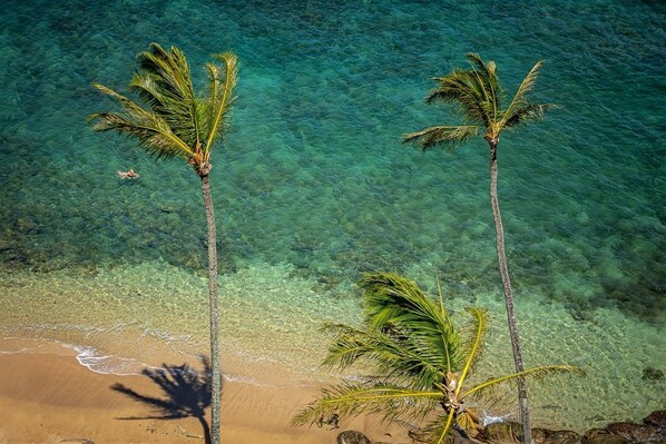 Apartment, 2 Schlafzimmer | Strand