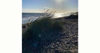 Holiday Apartment Beach Smile Lodge