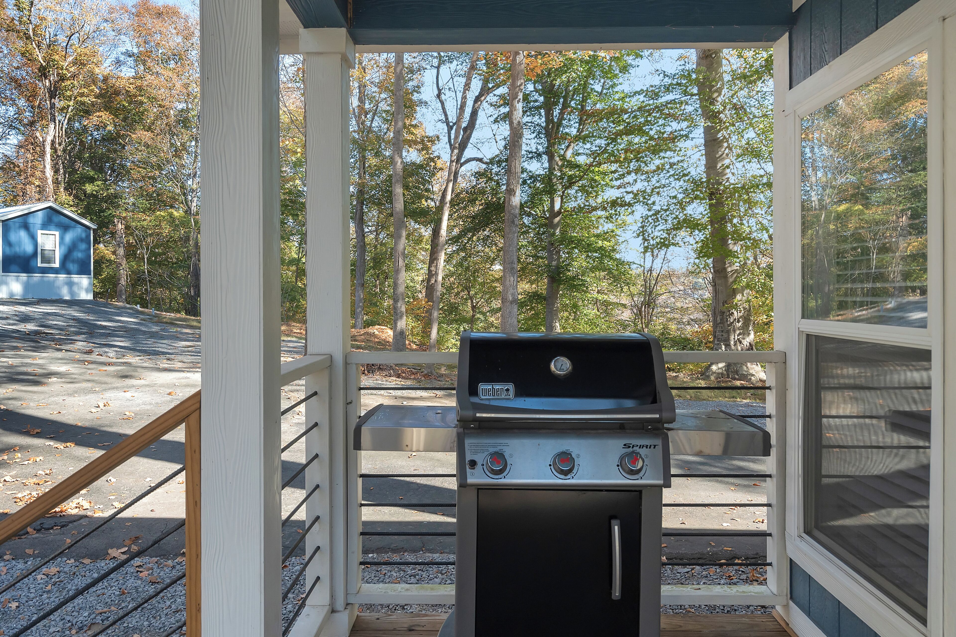 Ein überdachter Grillbereich mit Blick auf bewaldetes Gelände und ein kleines blaues Gebäude im Hintergrund.