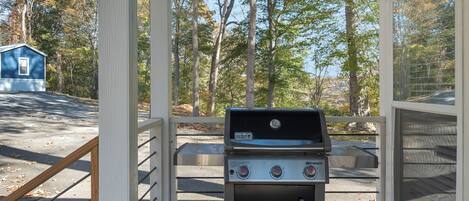 Ein überdachter Grillbereich mit Blick auf bewaldetes Gelände und ein kleines blaues Gebäude im Hintergrund.