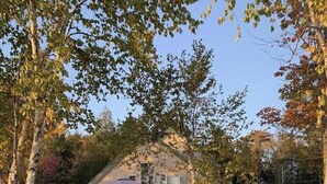 A wooden dock leading to a house with a porch, surrounded by trees and a small stream. - Lakeside Luxury: Your Private Waterfront Escape (Lincoln)