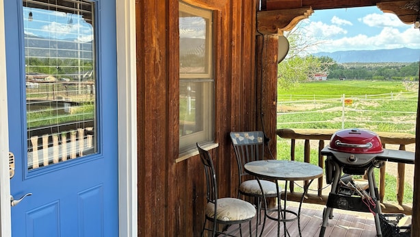 Eine Holzterrasse mit einer blauen Tür, einem Tisch mit Stühlen und einem Grill.