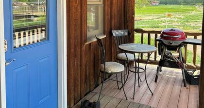 Peaceful Bunkhouse cabin with mtn views near Arkansas River attractions & town