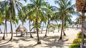Beach huts line the shore, surrounded by tall palm trees and fine sand.