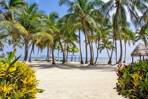 Standard Villa, Balcony, Beach View | View from property - Villas De Isla Bonita - A4 (San Pedro)