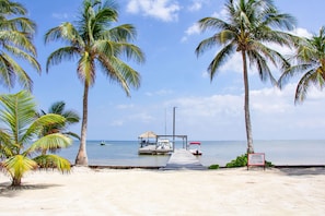 Une plage bordée de palmiers, une jetée et un bateau.
