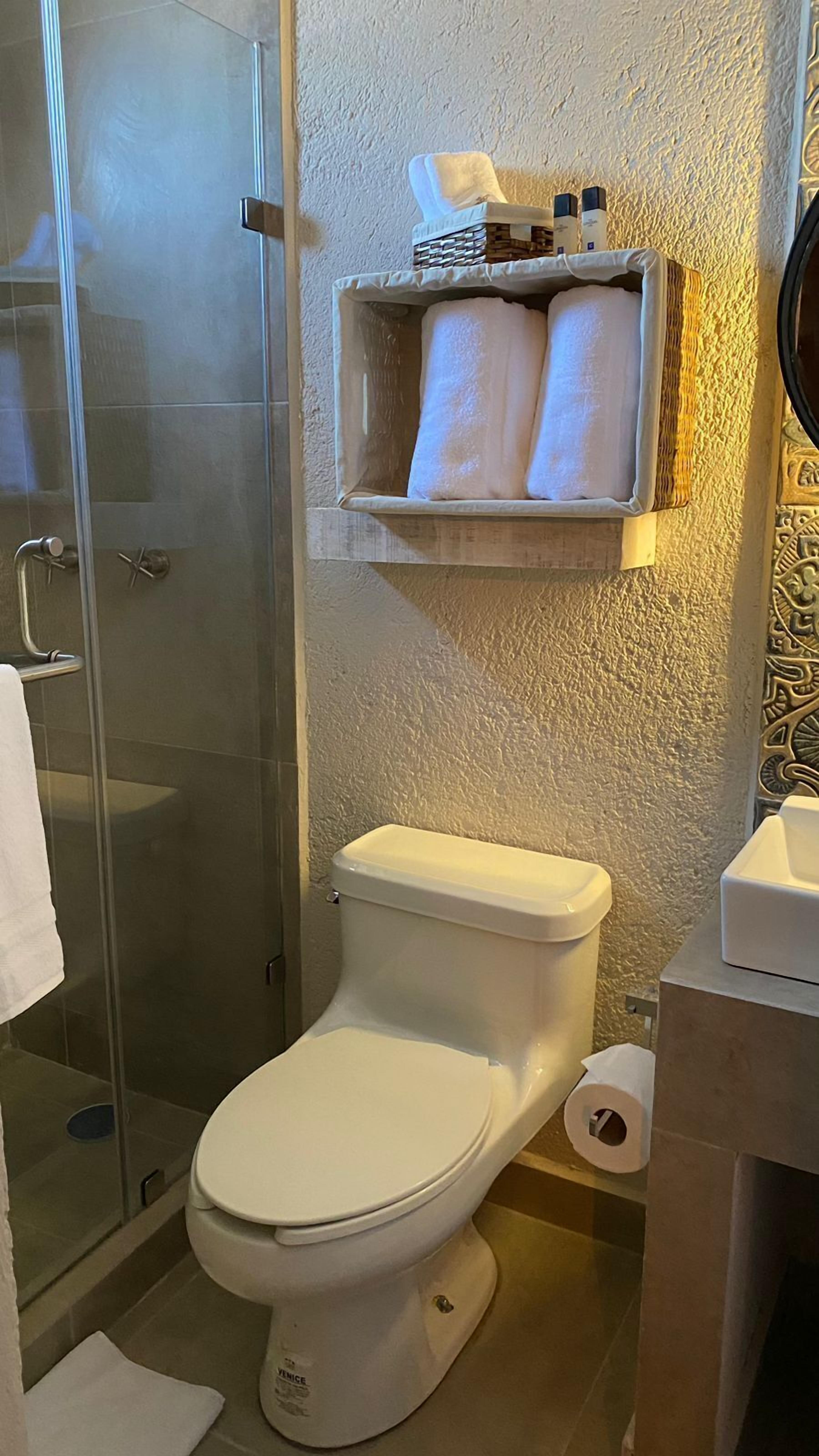 A bathroom with a toilet, a glass shower enclosure, and a shelf with towels and toiletries.