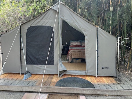 Property grounds. 12x12 Cabin Tent. camping with a little luxury.