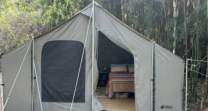 12x12 Cabin Tent. camping with a little luxury.