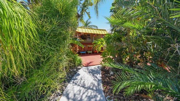 A pathway leading to a building surrounded by lush greenery.