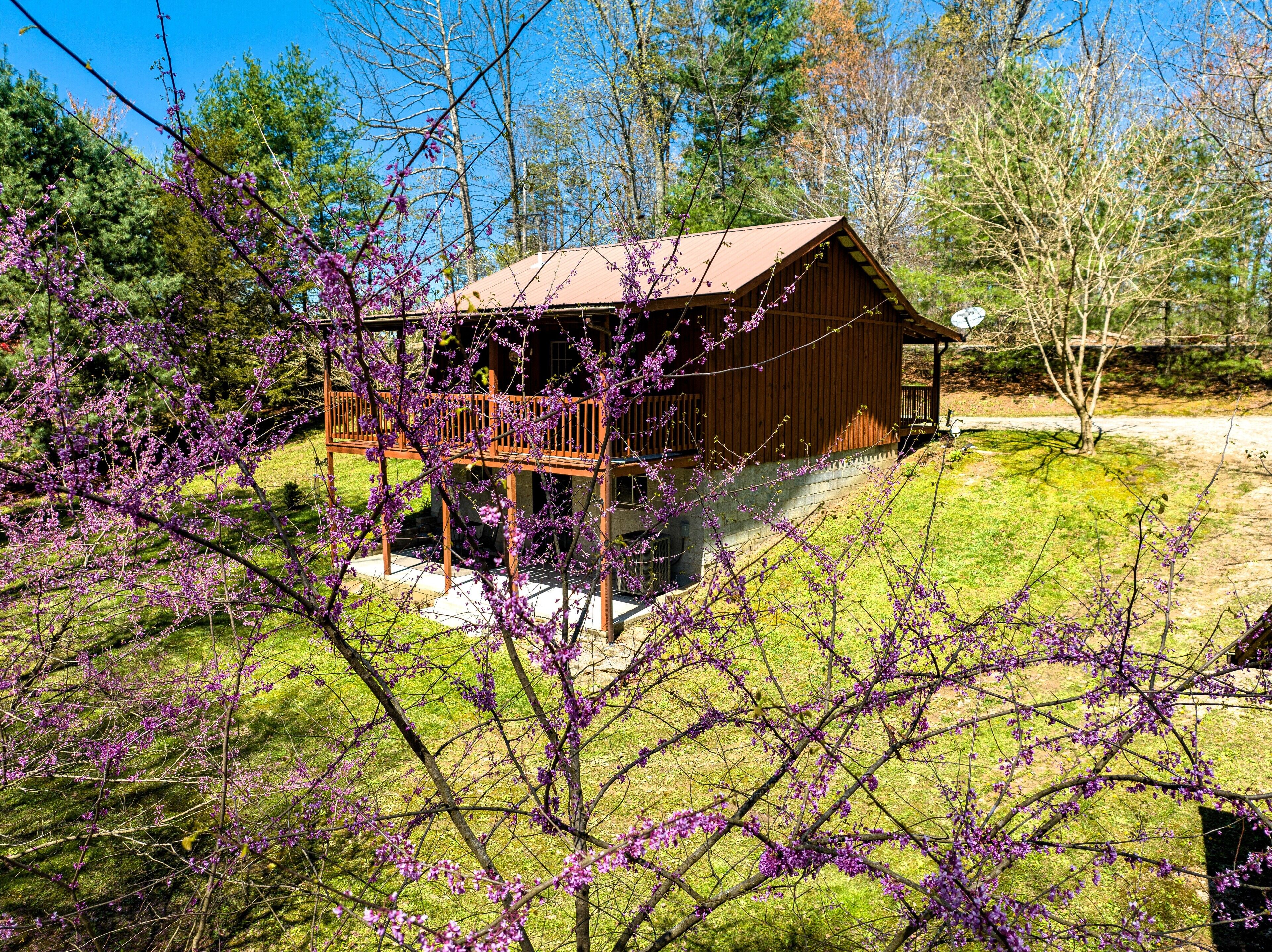 Cozy getaway cabin near RRG/Cave Run/DBNF. Pet friendly!