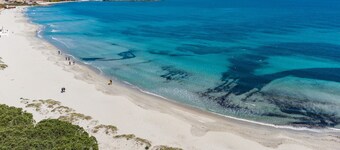 Ca cele viola - seaside holiday home in Pittulongu