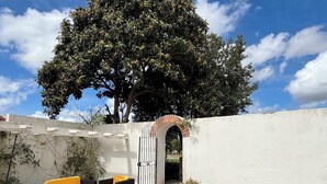 An outdoor seating area with a white wall, a brick archway, and a large tree providing shade. - 5 Bed Country Villa with Large Heated Pool near Óbidos (A dos Ruivos)