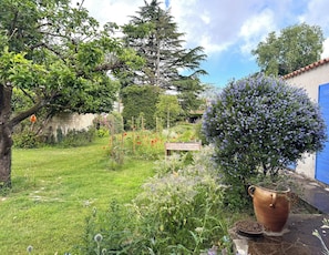 A garden with a variety of plants and a large pot on the ground.