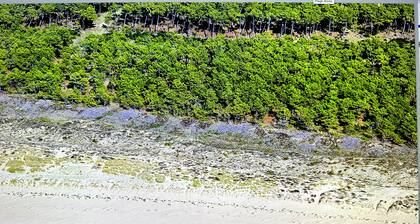 Maison de Plein Pied, Dans un Jardin Arboré, au Calme, en Plein Centre-ville