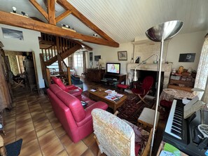 Smart TV, chimenea, reproductor de DVD y libros