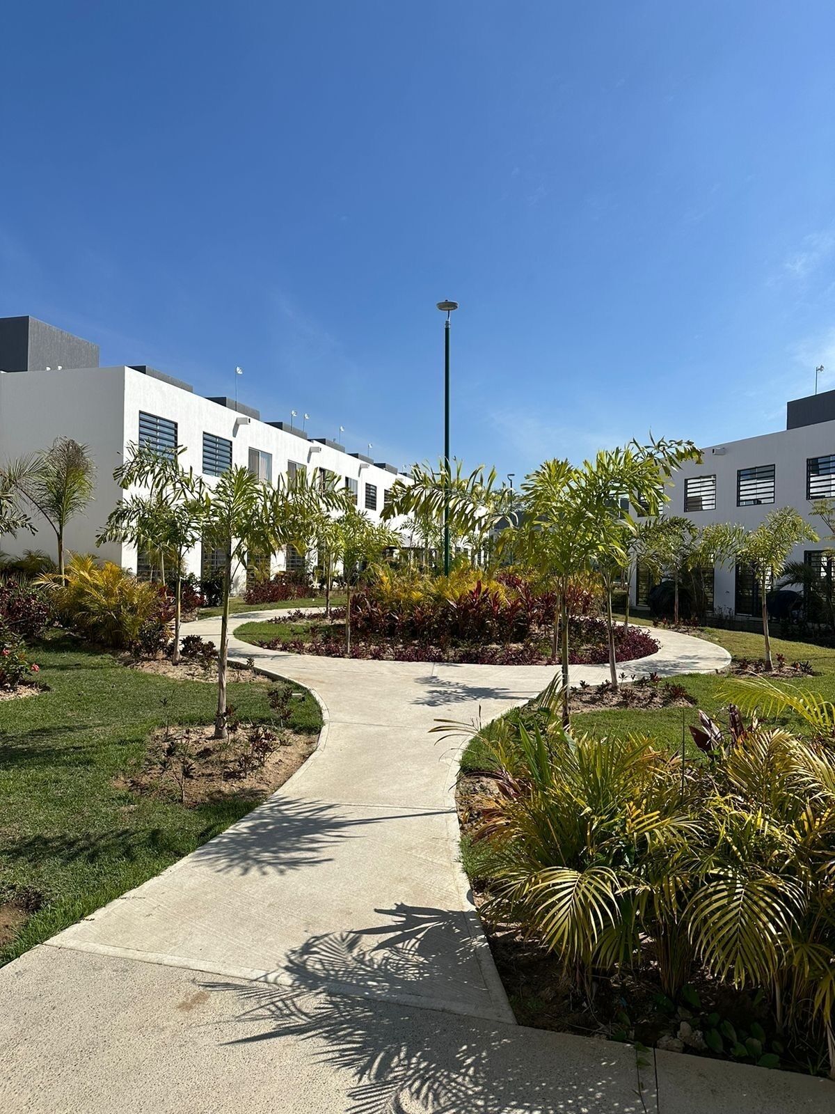 A modern building with a pathway surrounded by landscaped gardens and palm trees.