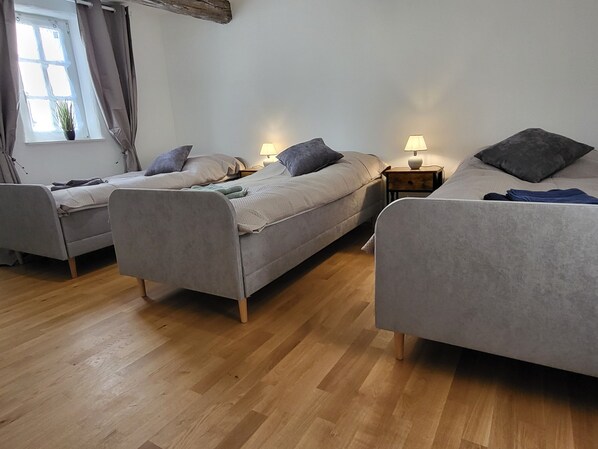 3 bedrooms, desk, iron/ironing board, free WiFi