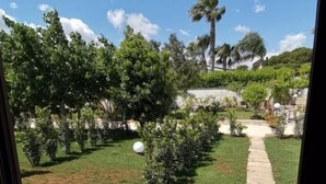A view of a garden with a stone pathway, various shrubs, and a palm tree. - Paluna (Otranto)