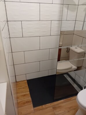 Shower, hair dryer, toilet paper