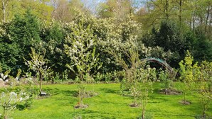 Un jardin bien entretenu, agrémenté de divers arbres en fleurs et d’un petit pont.