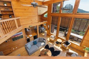 TV, fireplace, video games, books