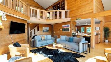 TV, fireplace, video games, books