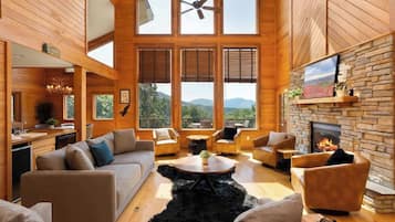 TV, fireplace, video games, books