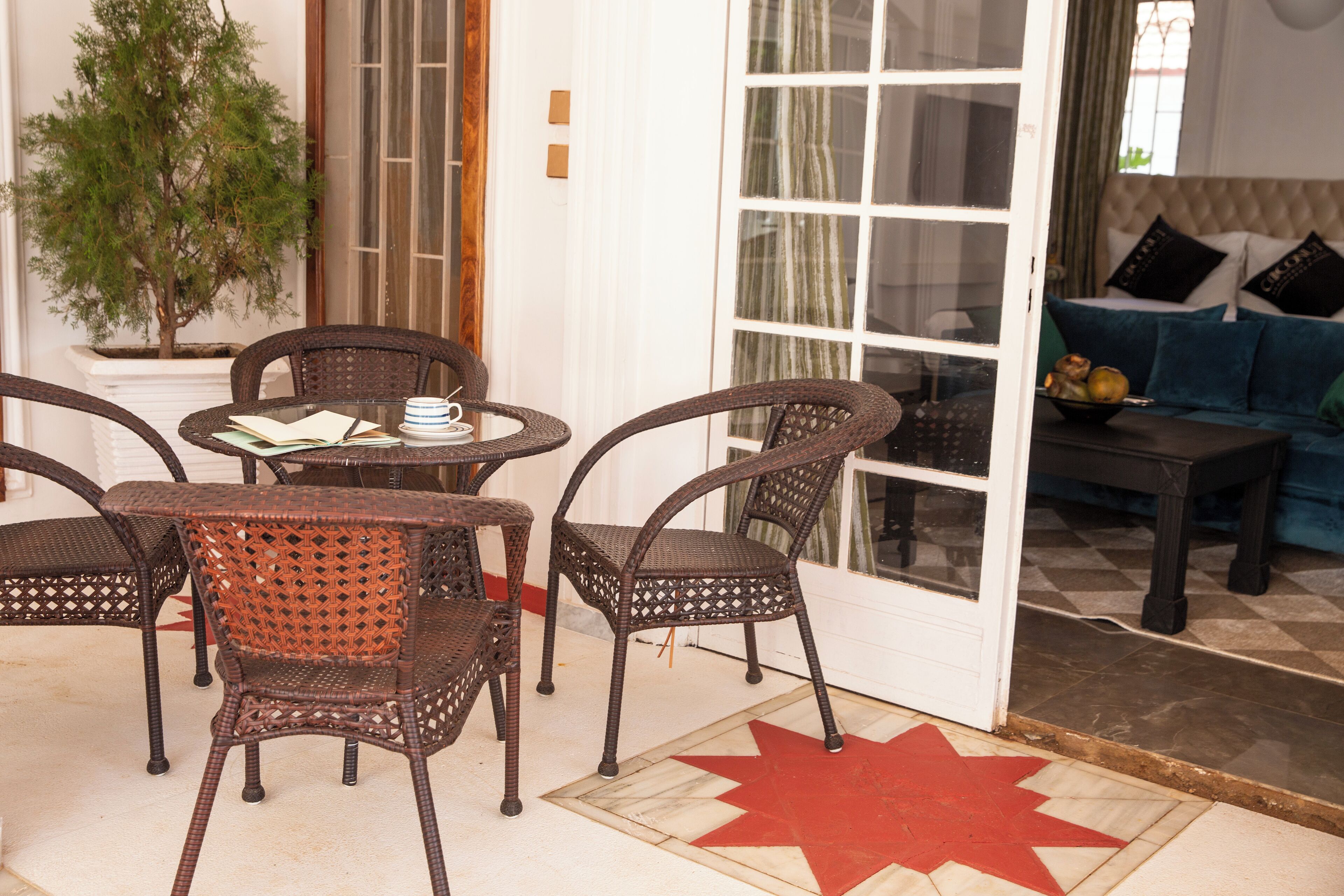 A patio with wicker furniture, a potted plant, and a star-patterned floor.