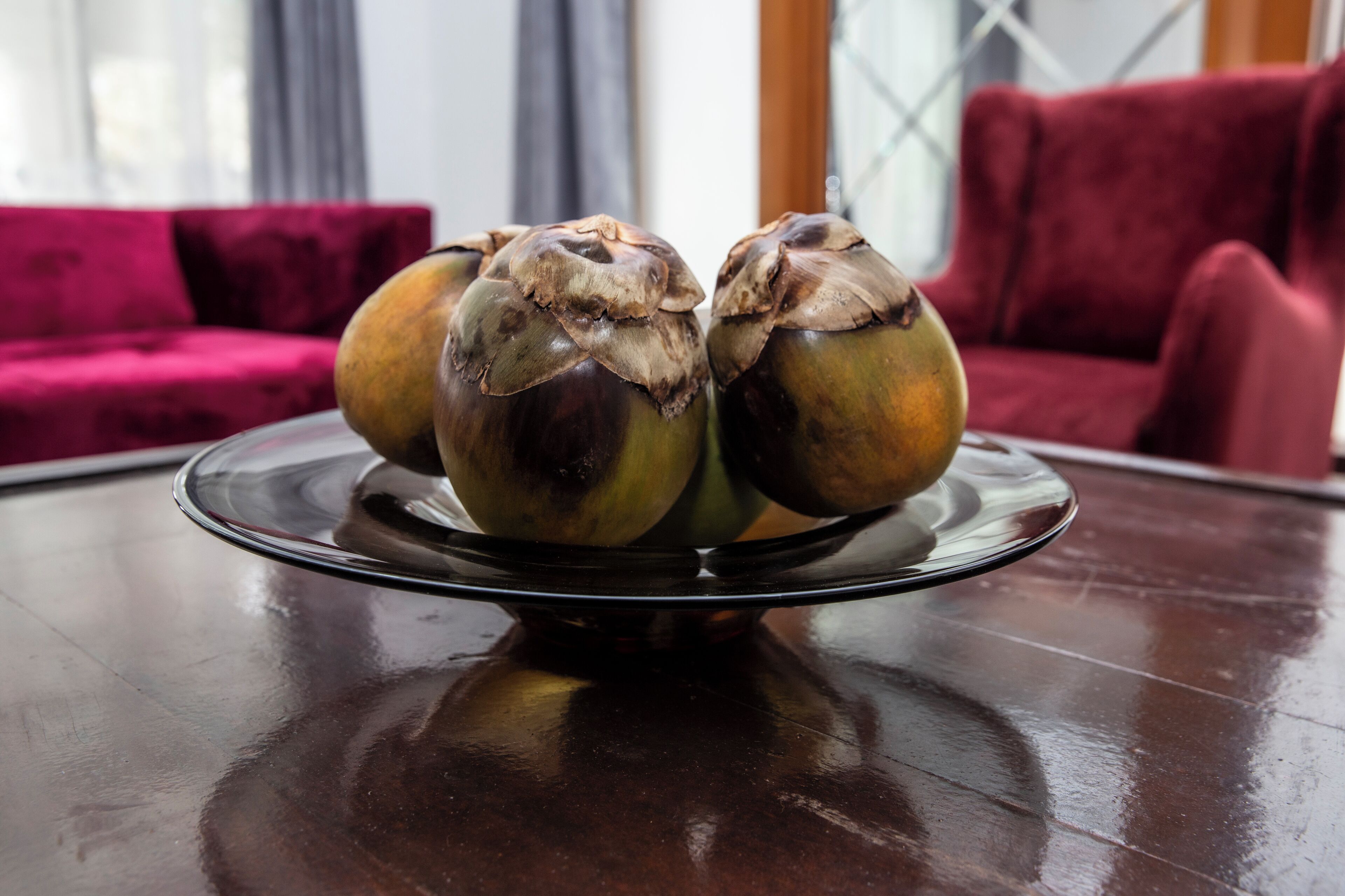 Una mesa con una superficie de vidrio que sostiene tres cocos.