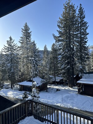 Property grounds - Cozy Cabin in Olympic Valley, next to Palisades Resort & Tahoe City (Tahoe City)