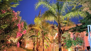 A nighttime garden with a paved walkway, various plants, and a building in the background. - Rida Village Ksamil Island (Ksamil)