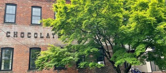 Spacious, artist-designed apartment in 1890s chocolate factory. DOG FRIENDLY!