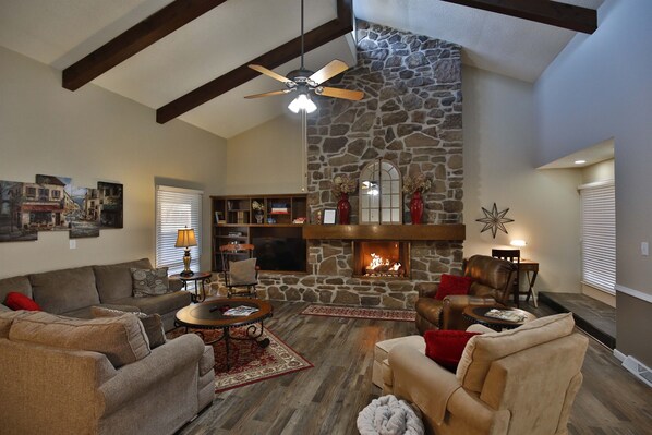 Smart TV, fireplace, books