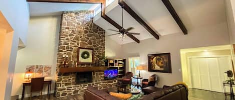 Smart TV, fireplace, books