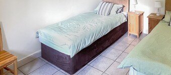 Lily Pad 6 - UK43915