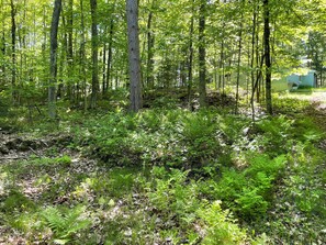 Property grounds - Find Your Serenity North of the Tension Line!! (Harshaw)