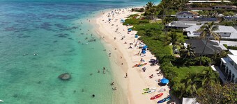 Beach Studio with private yard in Lanikai - 30 day Minimum Stay