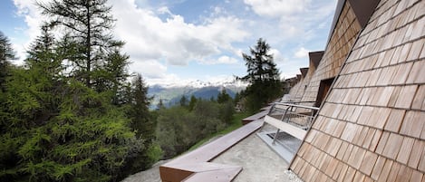 Terrain de lâhĂ©bergement