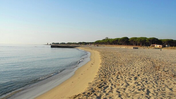Una platja sorrenca amb un mar tranquil, un moll i alguns edificis al fons.