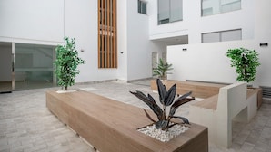 A modern indoor space with a wooden bench, potted plants, and a glass door. - Apartment 'Apartamento Pachimon' with Shared Pool, Wi-Fi and Air Conditioning (Conil de la Frontera)