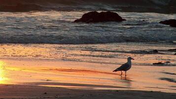 Ubicación cercana a la playa