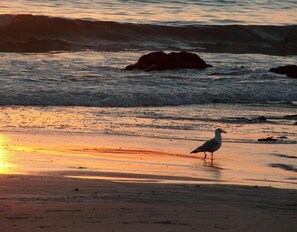 Beach nearby - Holiday Home 'Playa De Balares' with Sea View, Private Terrace and Wi-Fi (Balarés)