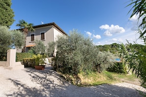 A house with a gravel driveway, olive trees, and a clear blue sky.