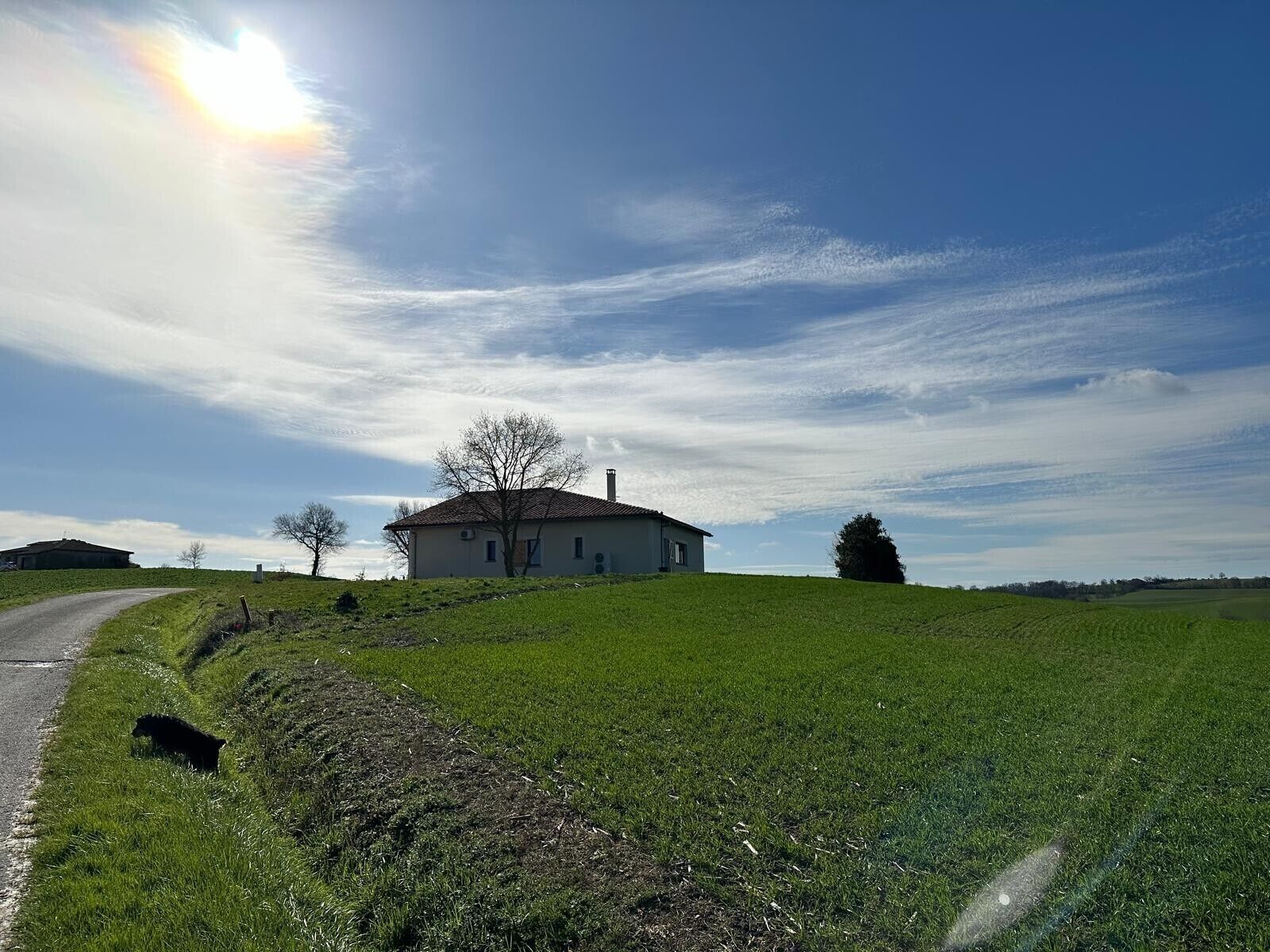 A rural house on a hill with a clear sky and a dirt path leading to it.