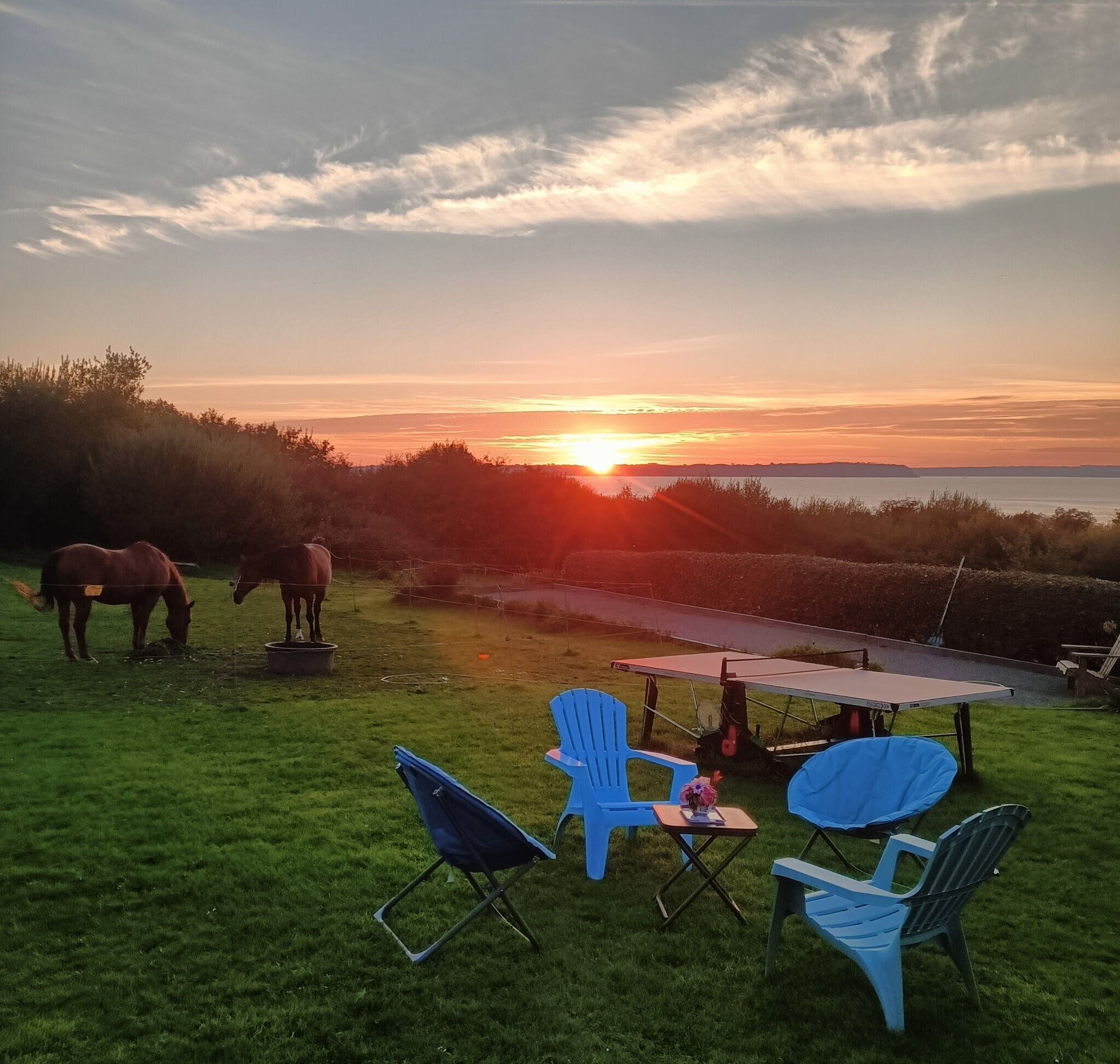 Une vue au coucher du soleil avec deux chevaux, une table et des chaises bleues, le tout dans un espace verdoyant.