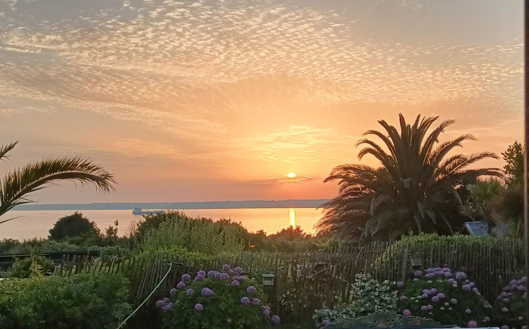 Un atardecer sobre un cuerpo de agua, con una palmera y flores en primer plano.