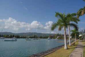 Marina - Island Studio with Beach, Pool, A/C, 24h security (Montego Bay)
