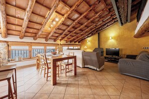 电视、壁炉、DVD 播放器